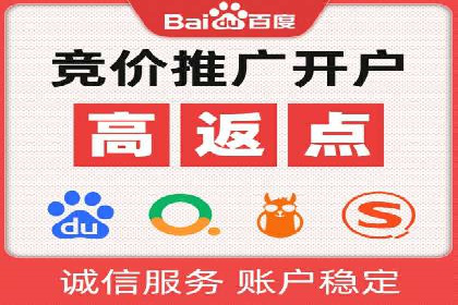 实战解析：SEM代运营成功案例分享